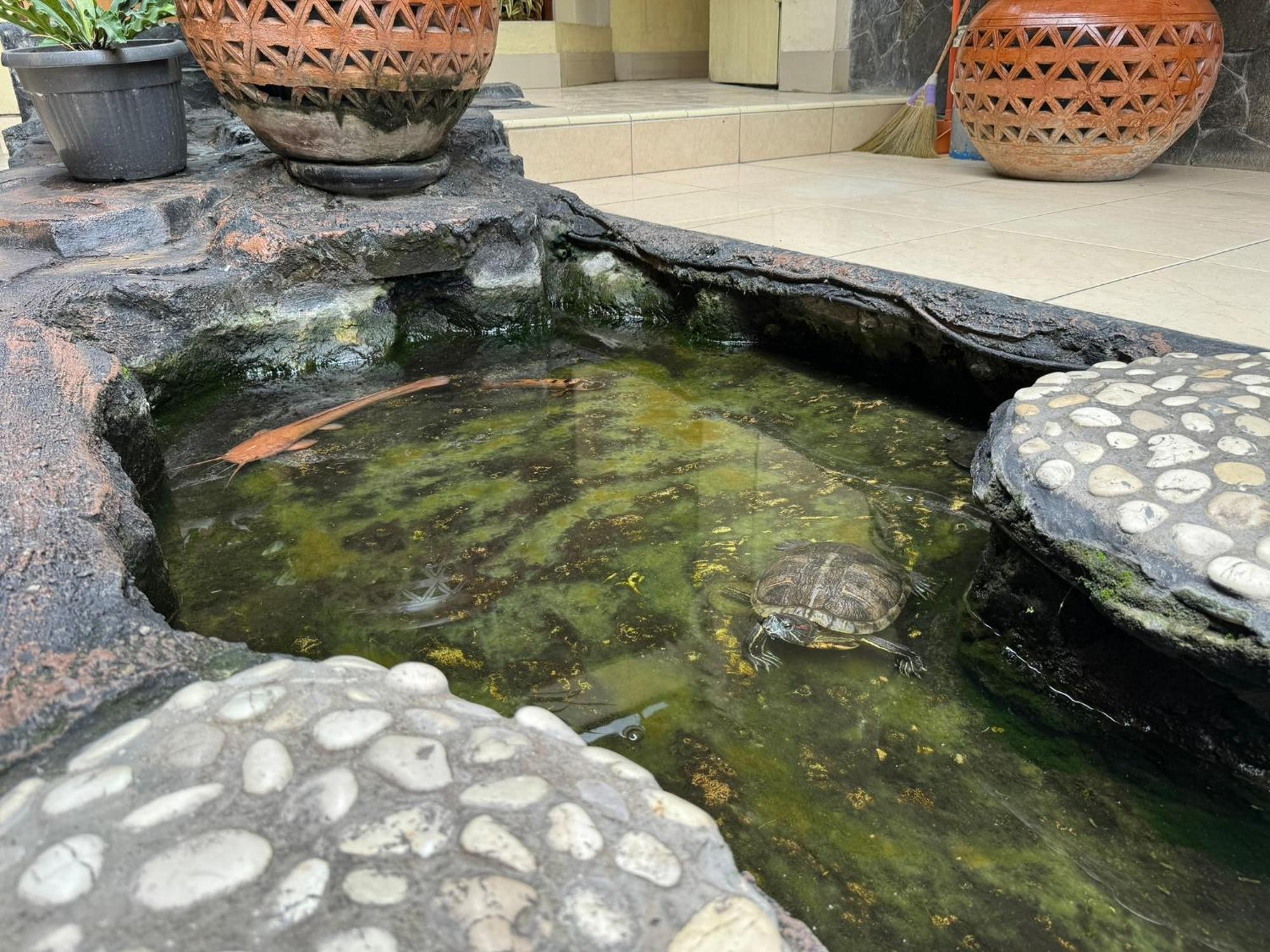 Hotel Priangan Cirebon Luaran gambar