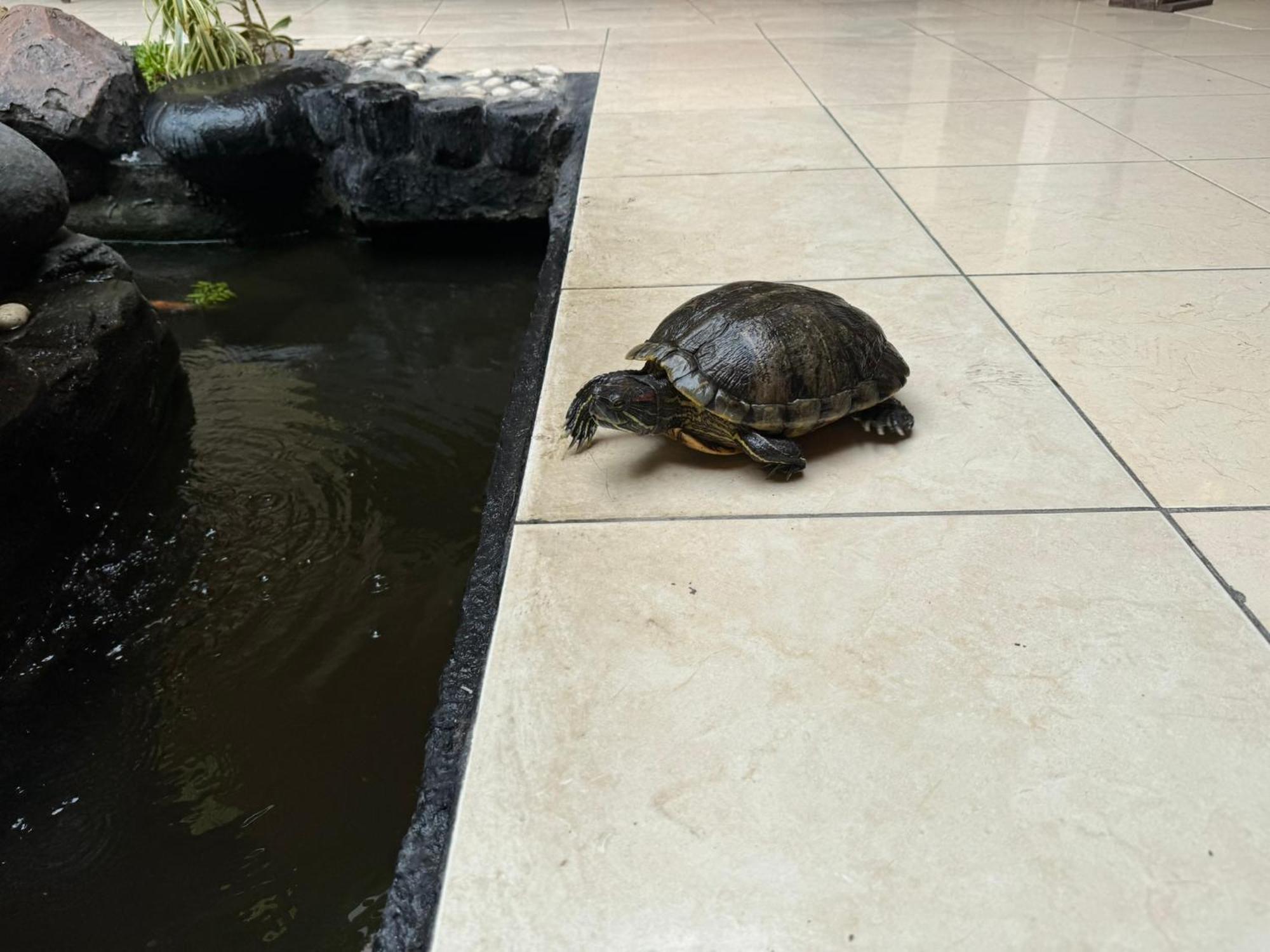 Hotel Priangan Cirebon Luaran gambar